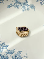 Fruit Container Magnets